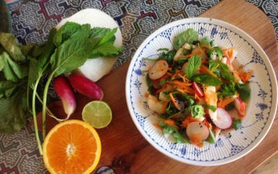 Antihistamine Mint, Radish, & Jicama Prebiotic Salad