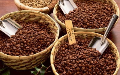 Coffee and Migraine Headaches: Benefits and Drawbacks