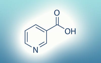 Does Niacin (B3) Contribute to Migraine? Part 2