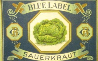 7 Common Blind Spots in the Management of Migraines