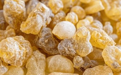 Pain-solving Migraine Salve Recipe with Ancient Healing Resins