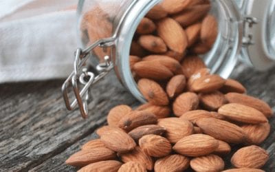 What’s Up with Nuts and Migraine?