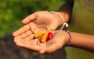 Avoid Spicy Food if You Get Migraines