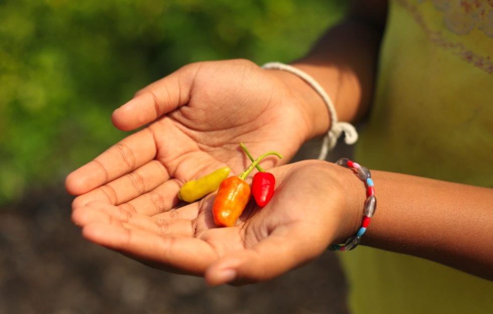 Avoid Spicy Food if You Get Migraines Minerals for Migraines