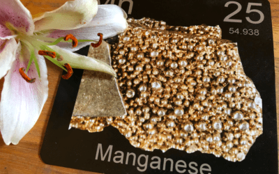 Manganese for Mitochondria and Migraines