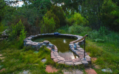 Gratitude for Healing Mineral Waters