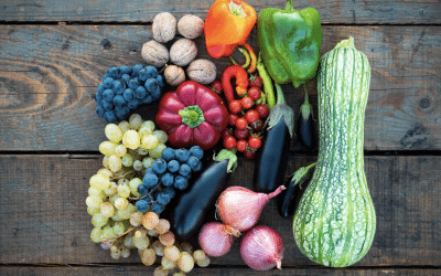 Vegan Diets & Migraine: Help or Hindrance?